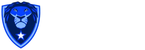 Blue Lion Academy